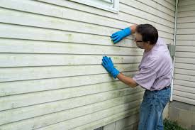 Best Siding Removal and Disposal  in Three Rivers, MI